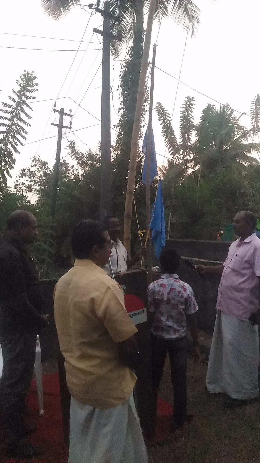 p 20190125 181609jpg.jpg